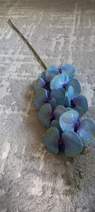 Storczyk pozłacany Bożonarodzeniowy nowy