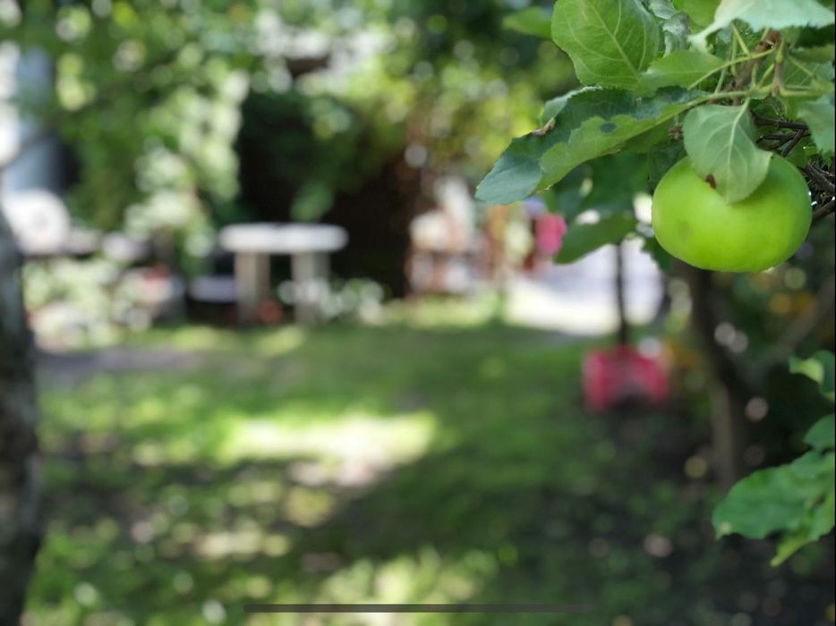 Mieszkanie bezczynszowe z ogrodem