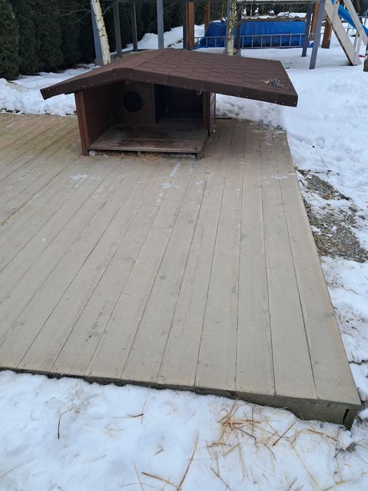 Buda dla małego psa