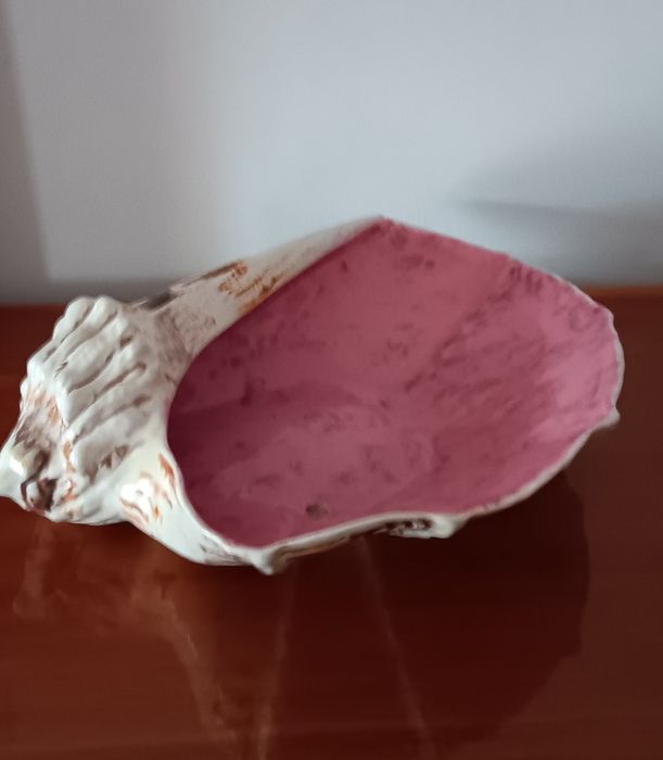 Secla. Grande búzio 30x30x11