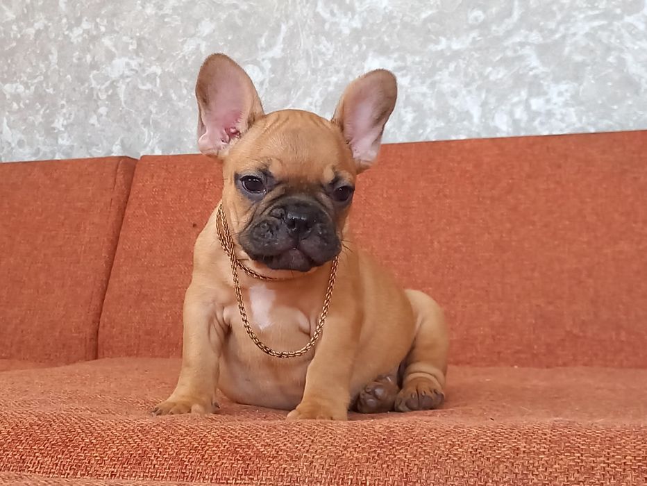 Девулька красотулька