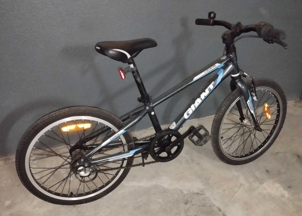 Bicicleta infantil Giant Veer 24"