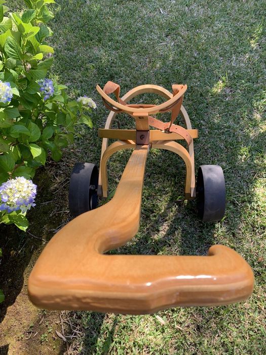 Carro de Golfe ~ Vintage.64873973526913125