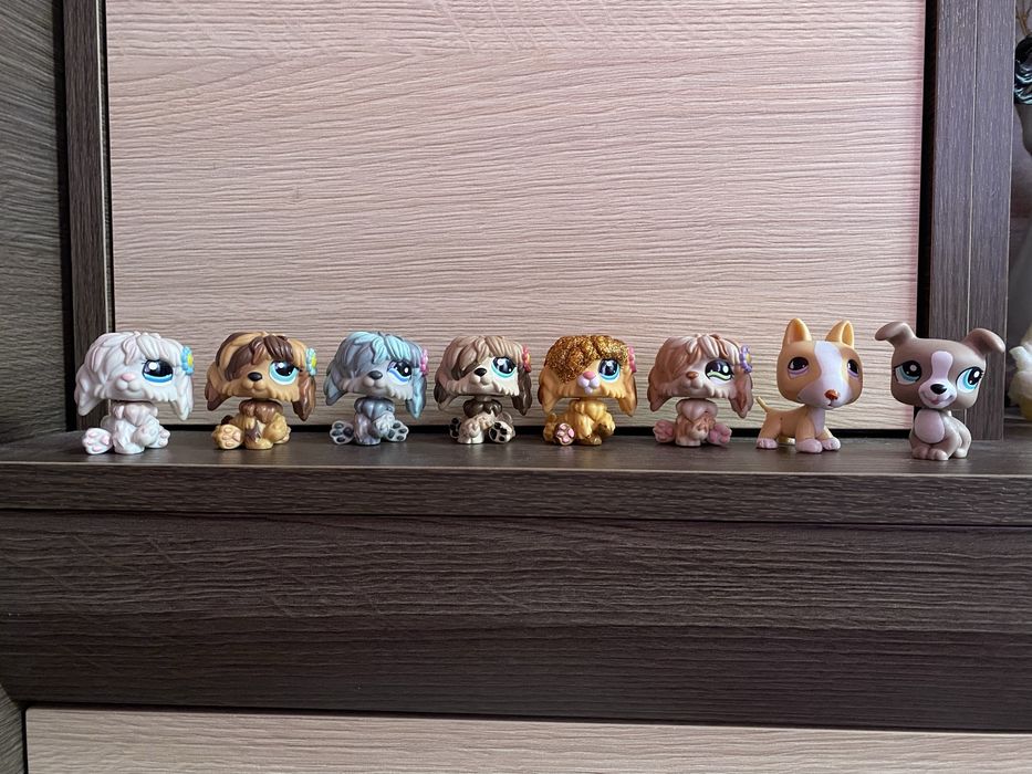 LPS Littlest pet shop psy zestaw