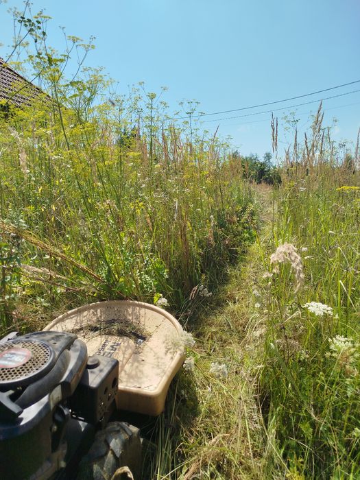 Koszenie traw, nieużytków, zarośli