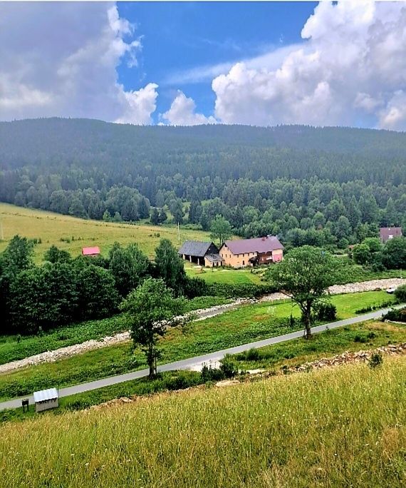 Działki budowlane 2000m2  / Sudety