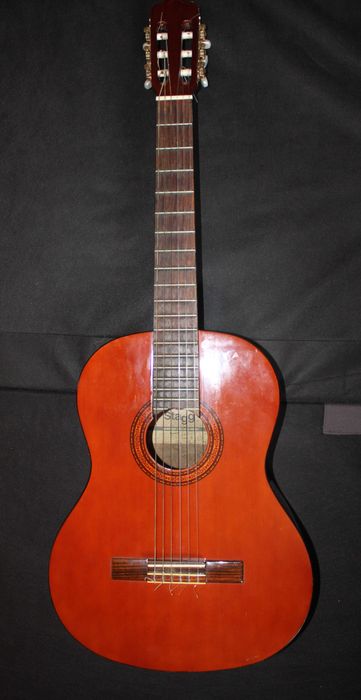 Viola Acústica Stagg