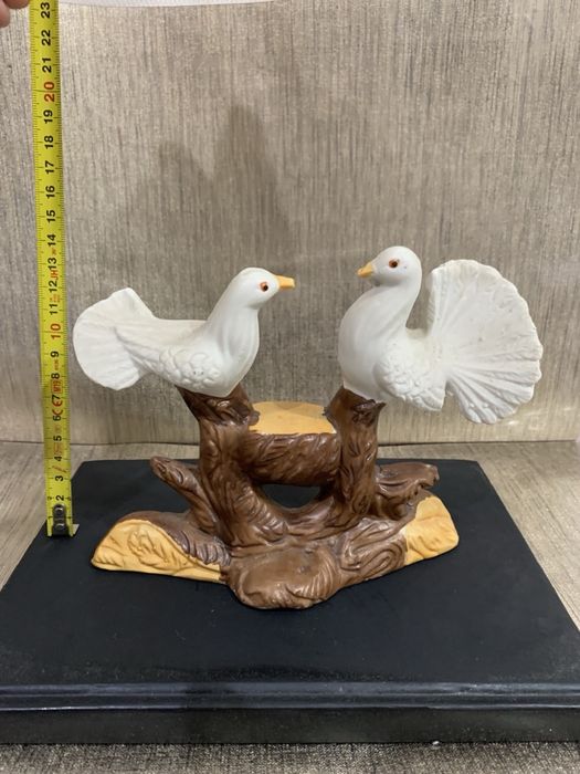 Парочка голубів, голуби