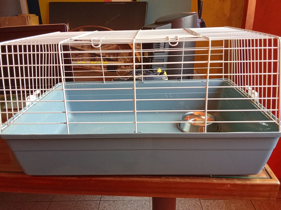 Gaiola para coelho anão