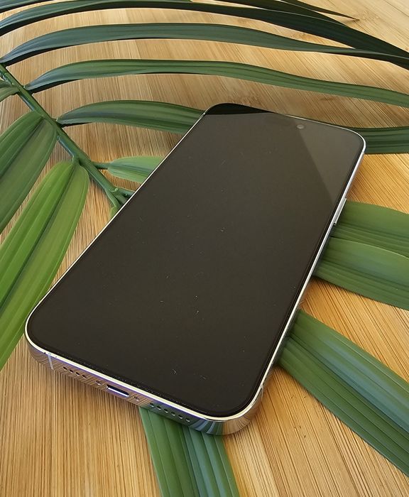 iPhone 14 Pro Max 256GB Silver – Com Fatura e Garantia iServices até 2028.