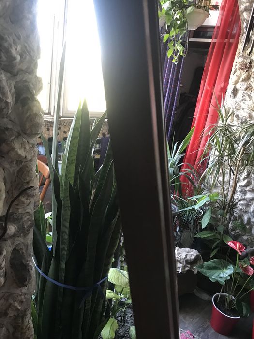 Продам  ДВЕРЬ !