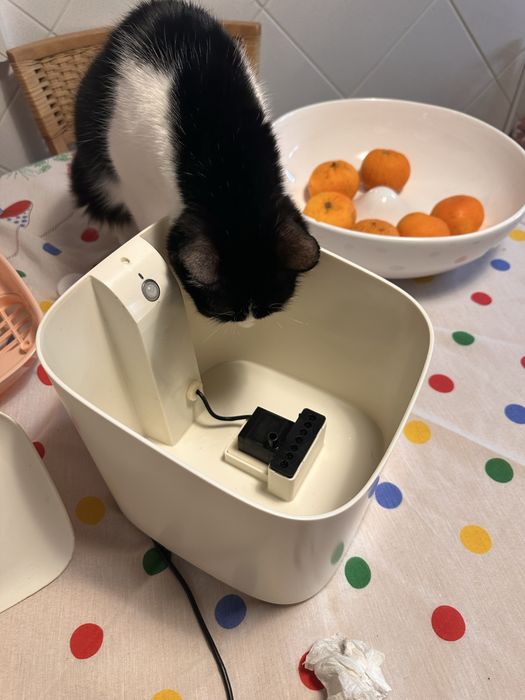 Fonte de água/bebedouro para animais