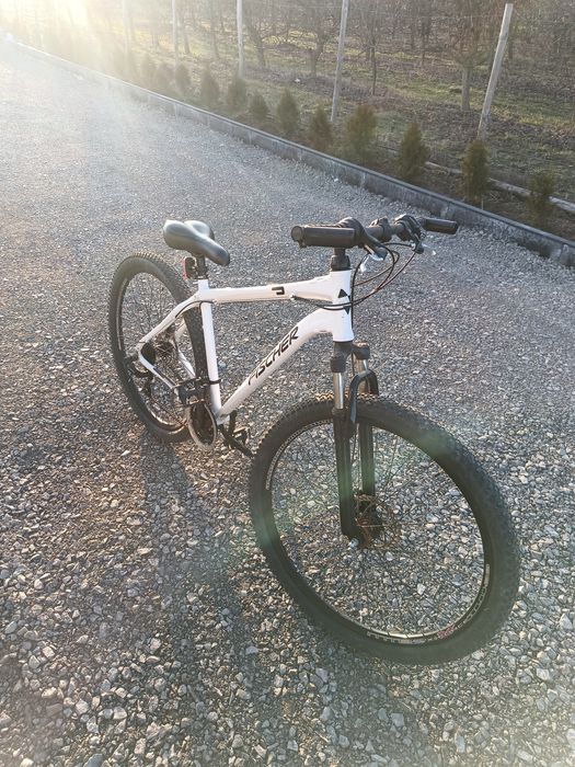 Rower Fischer biały