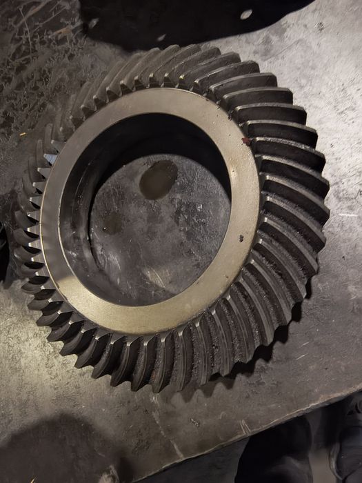 Продам головну пару на івеку