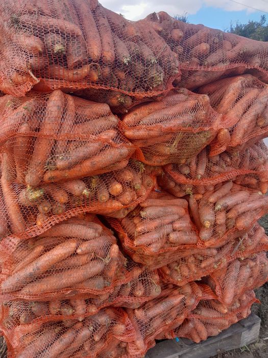 Marchew odpadową brudna