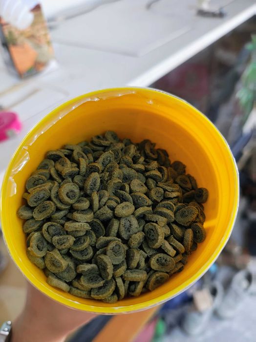 Lâmpada UVB 10.0 e Comida Sera