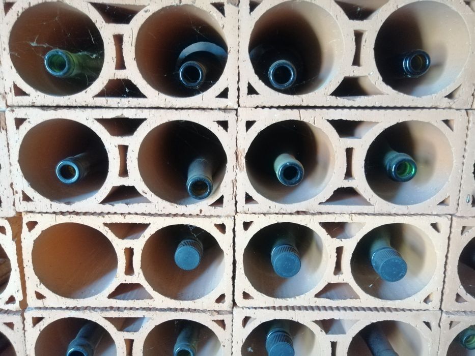 227 Tijolos de garrafeira novos