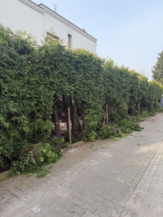 Uslugi Ogrodnicze kostka brukowa