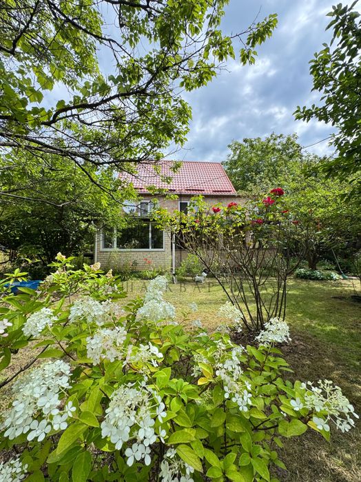 House by the address (area 90 m²) - Atlanta.ua - photo 4