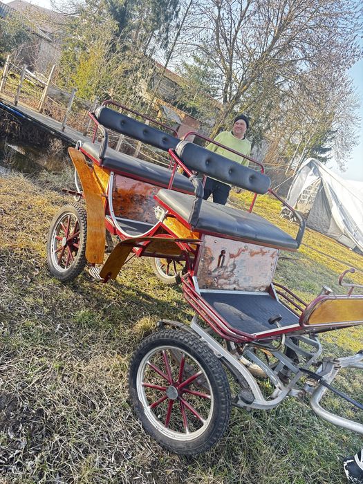 Aktualne! Bryczka dla kucy malych koni