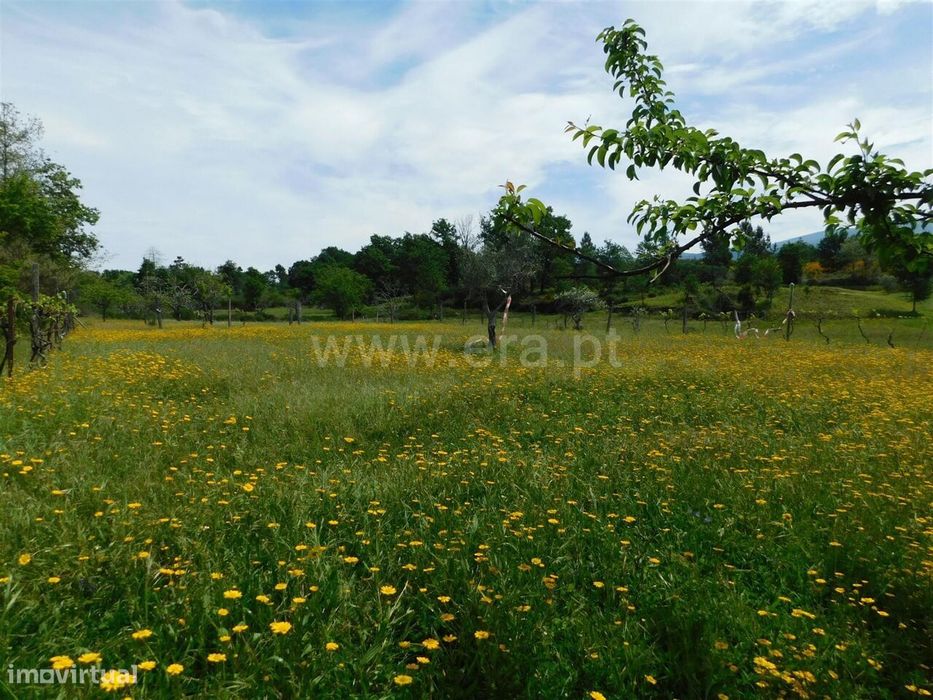 Terreno / Seia, Sameice e Santa Eulália