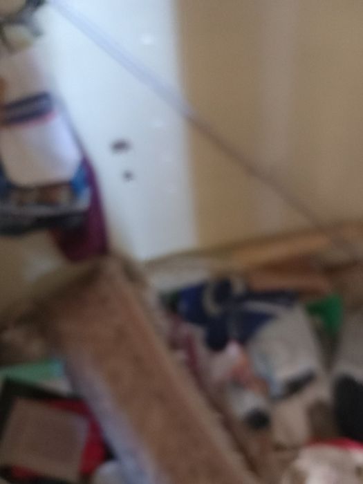 Faco recolha de recheio de casa