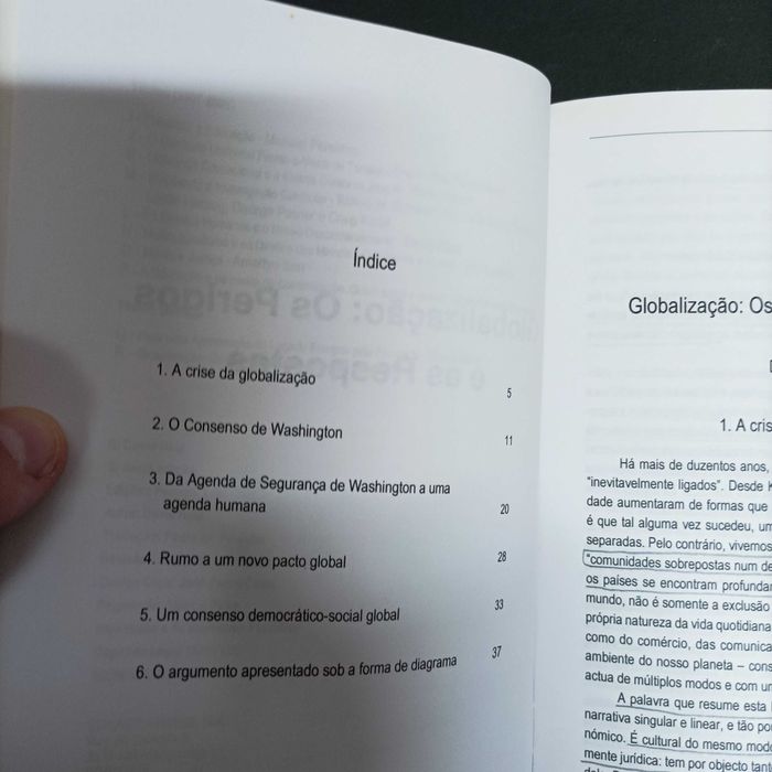 Globalização, os perigos e as respostas  David Held