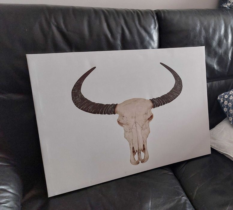 Quadro com esqueleto de cabeça de vaca americana - Tela branca