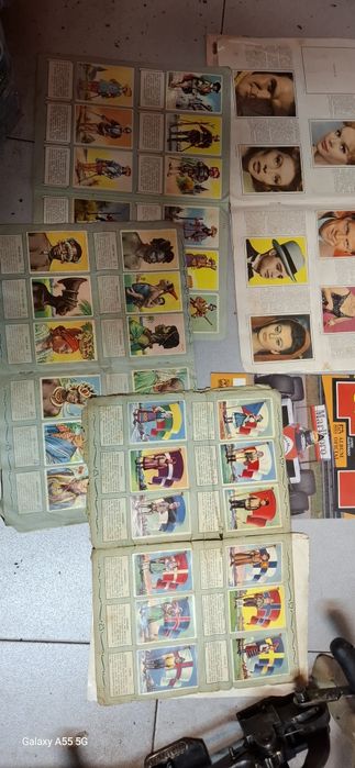 Lote de cadernetas incompletas