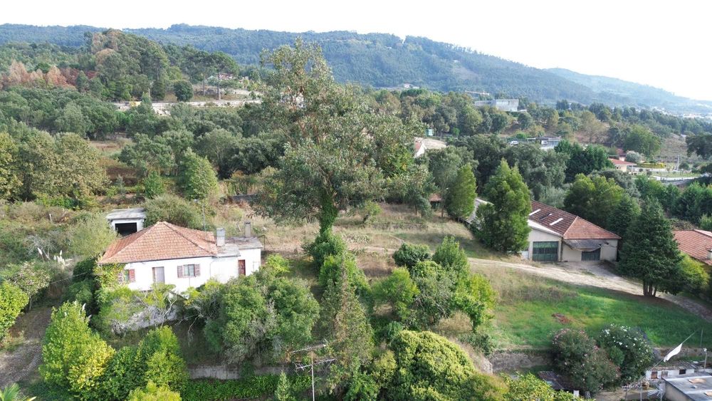 Quinta Santo Tirso
