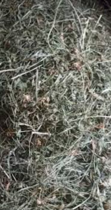 Продам отаву є 800кг