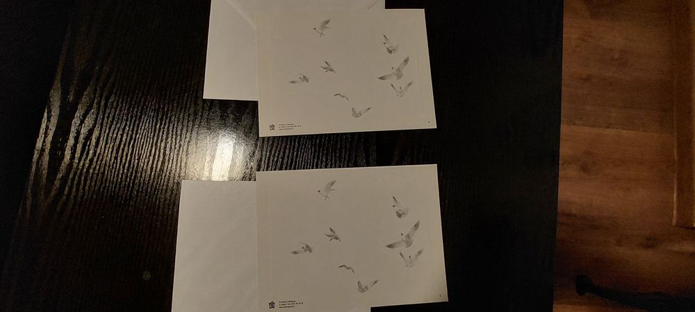 2 pocztówki duży format 20cm x 15cm Morze Bałtyckie z kopertami + grat