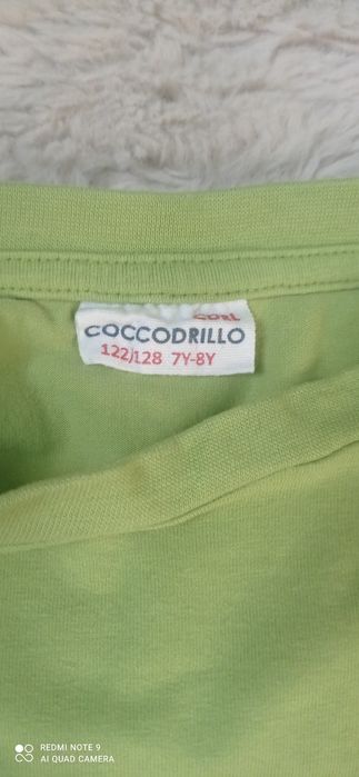 Bluzka chłopieca  cocodrillo