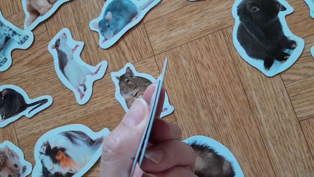 Magnesy na lodówkę ze zwierzętami