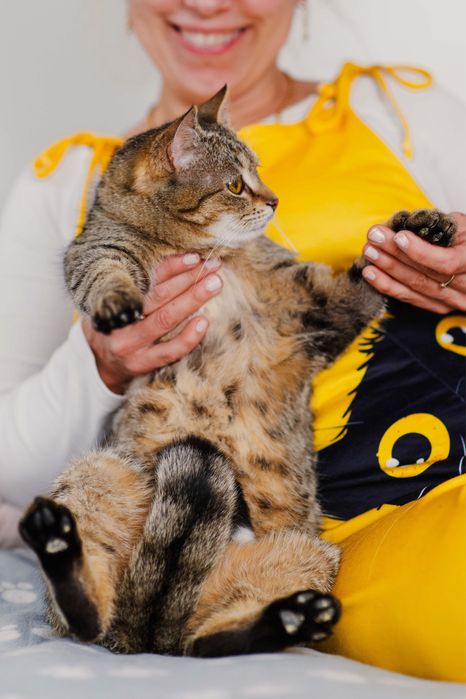 Dwu letnia Bunia szuka domu!