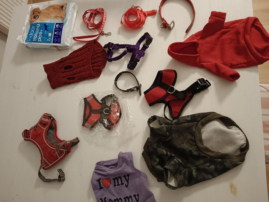 Wyprawka dla psa, obroża szelki sweter