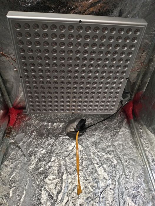 Growbox 60 namiot lampa LED zestaw