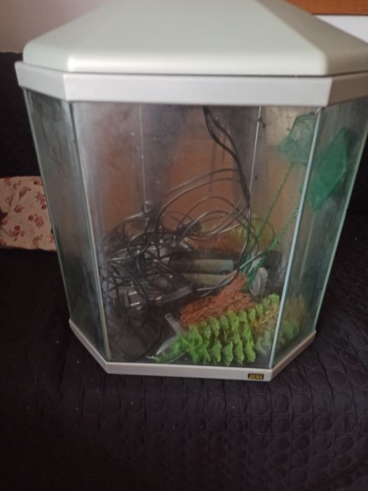 Aquário com acessórios