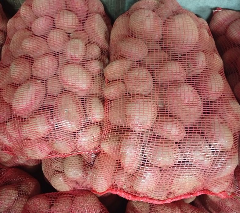 Vende-se batata nova