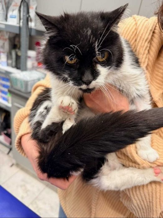 Cichutki aniołek skazany na śmierć — LUSIA