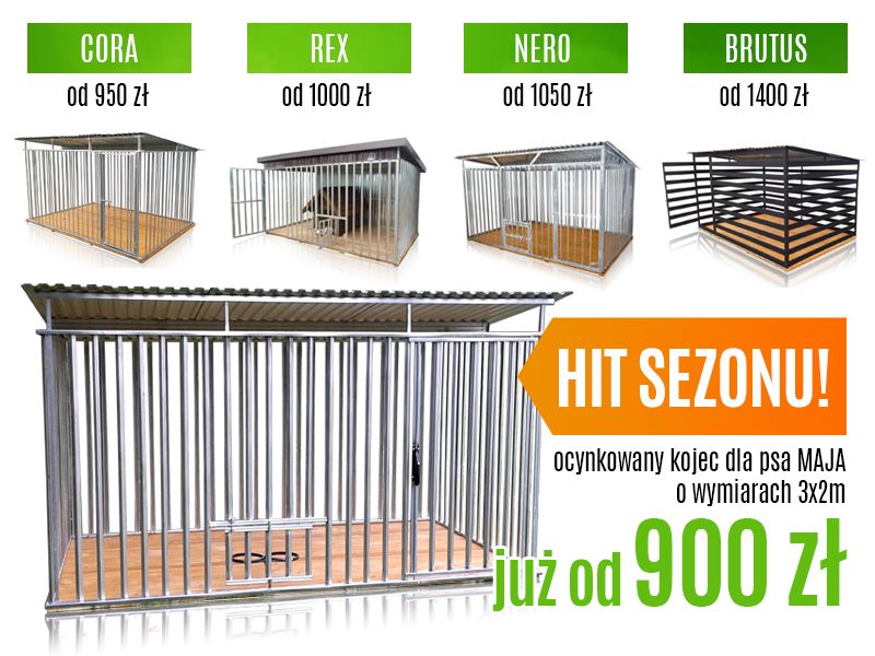 Kojec dla psa z profili ocynkowanych Klatka 4x2m kojce boksy dla psów