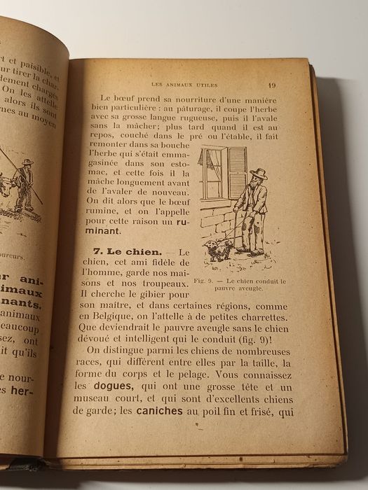 Leçons de Choses