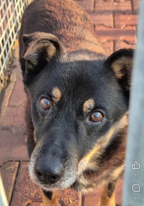 Derbi blaga o dom, ma czas do końca roku