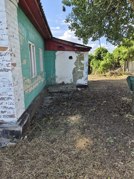 Продам будинок в тихому селі