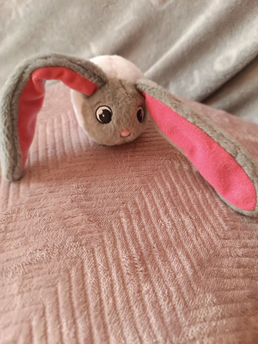 TM bunnies  króliczki  5szt