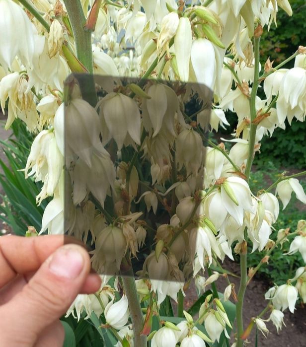 Оргскло для  Авто, спецтехніки  Монолитный поликарбонат Акрил