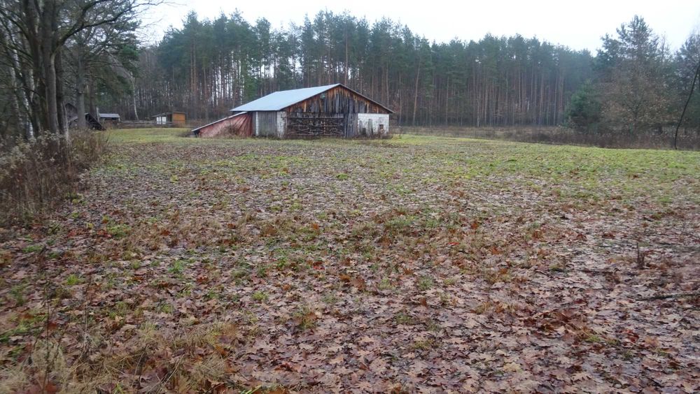 Wynajmę tartak w Pisklakach gmina Łukowa powiat Biłgoraj