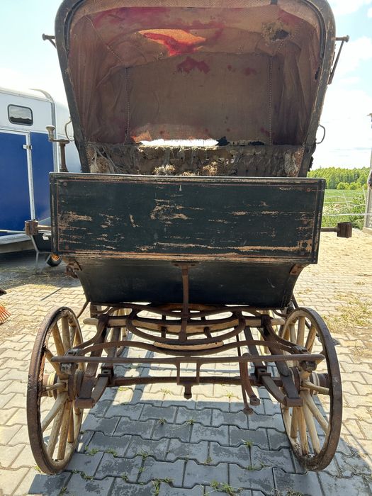 Brzyczka doktor wagen