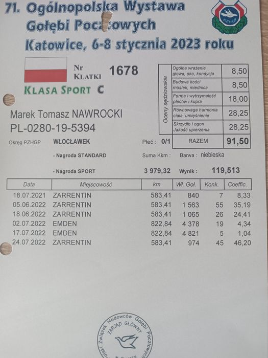 Gołębie pocztowe.