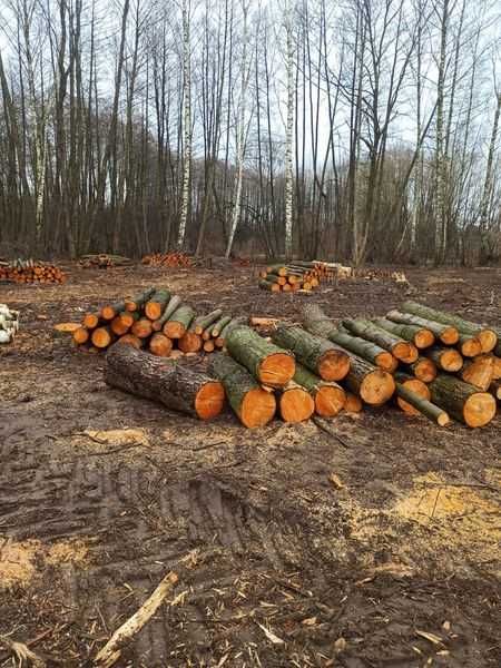 Drewno Kominkowe / Opałowe OLCHA , OWOCOWE pocięte / połupane do pieca